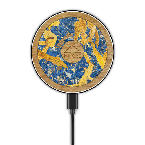 Organinis belaidis įkroviklis